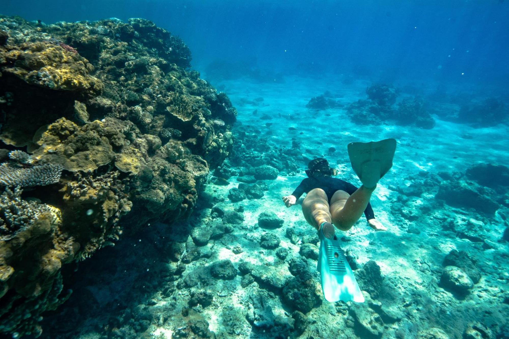 Intercontinental Lifou Wadra Bay Resort Akaouane Dış mekan fotoğraf